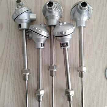 T1000-1斯卢森温度变新送器